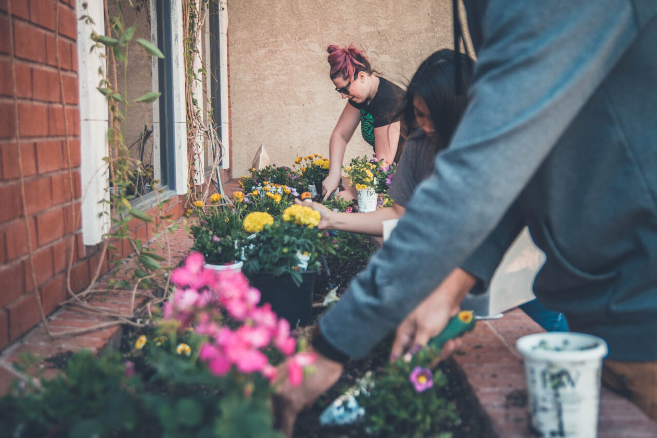 Grow Back Greener – the Mayor of London’s new fund NOW OPEN!