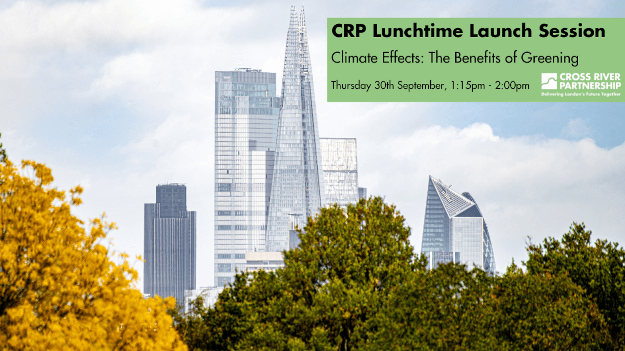 This week’s Lunchtime Launch Event. Climate Effects: The Benefits of Greening