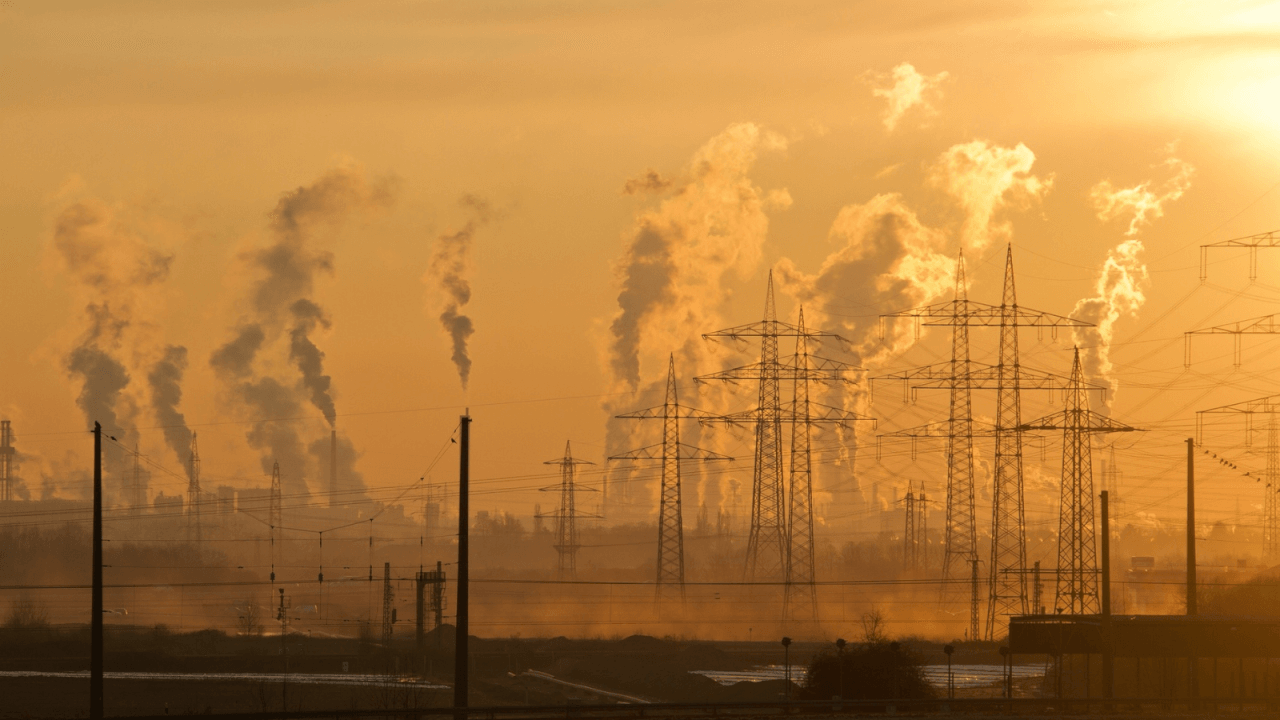 New global daily air pollution study findings