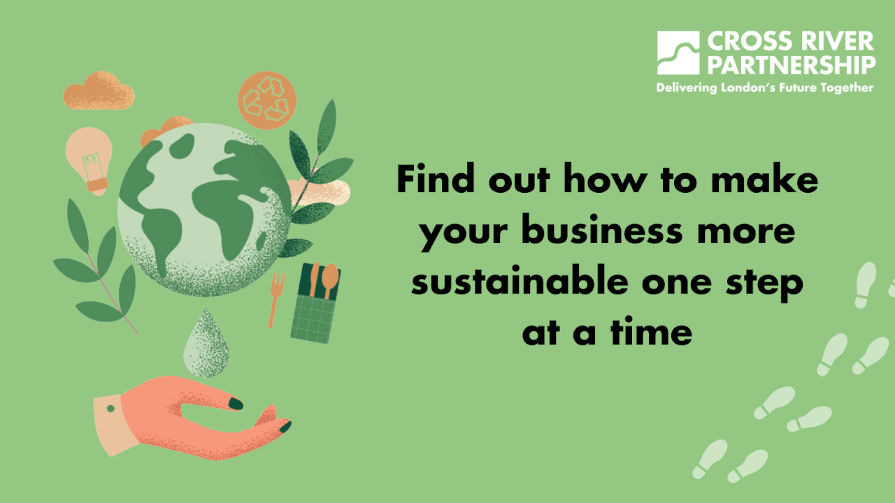 Sustainable Steps: Helping Small Businesses Take a Step Towards Sustainability