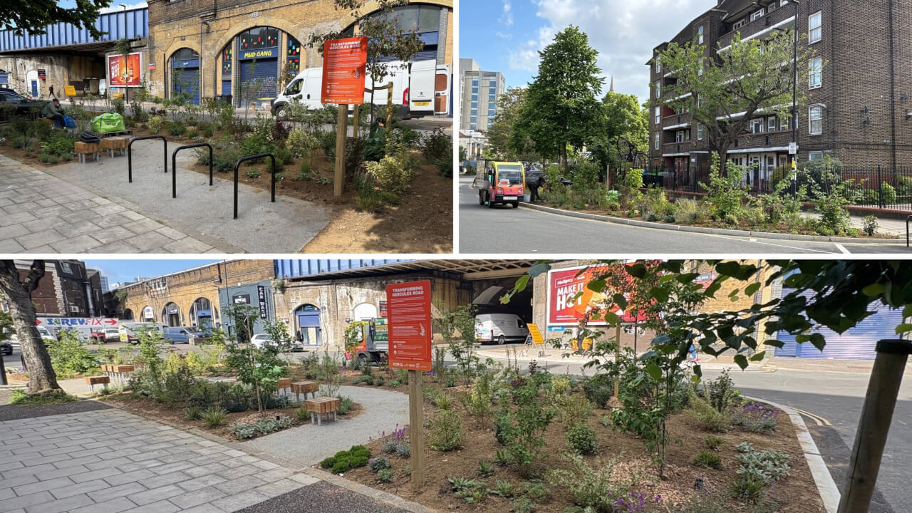 Transforming Hercules Road